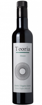 teoria v2_096